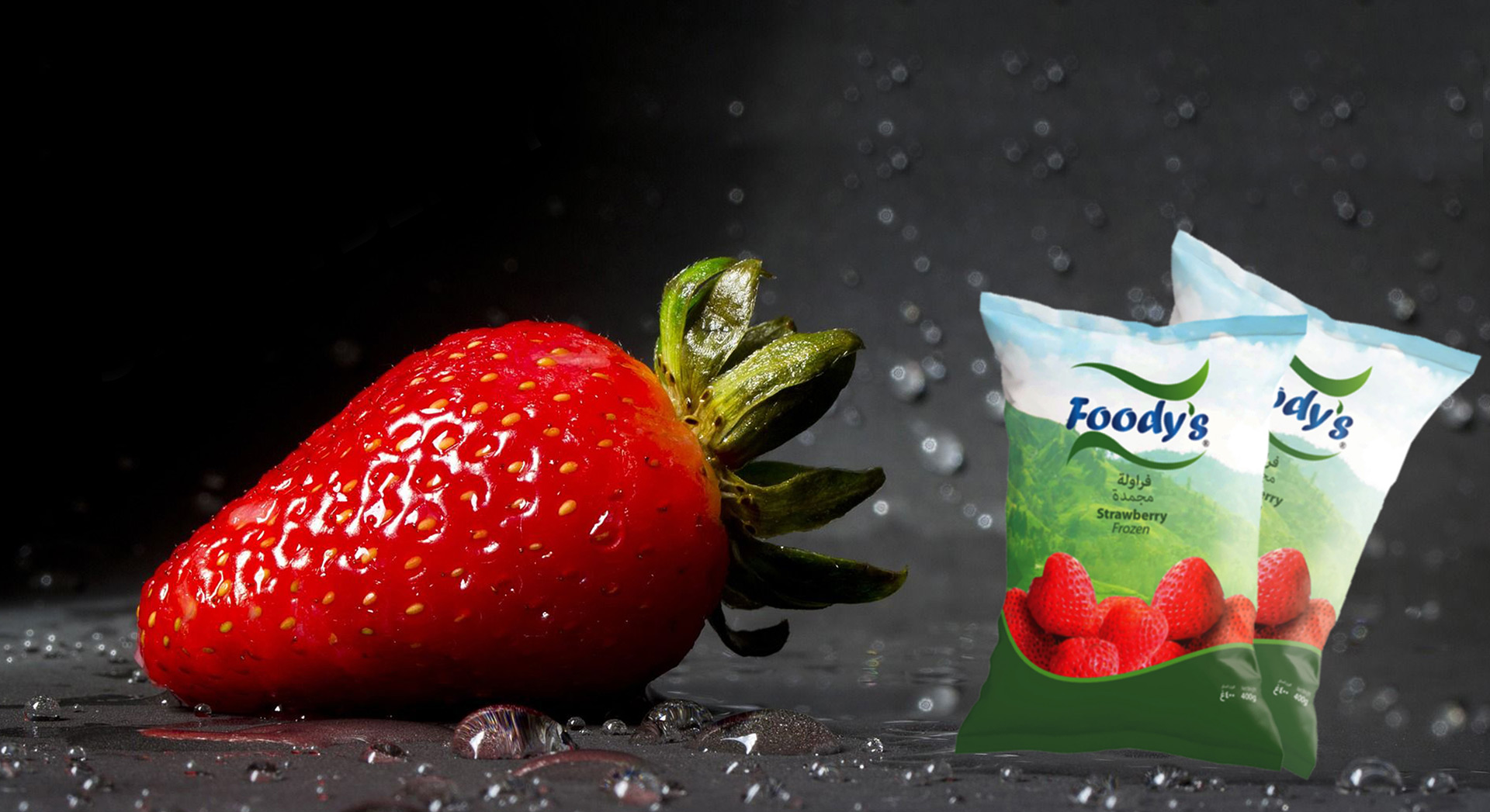 lorem ipsum dolor sit